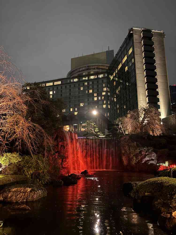 日本庭園から撮った写真です。滝もありとても綺麗。