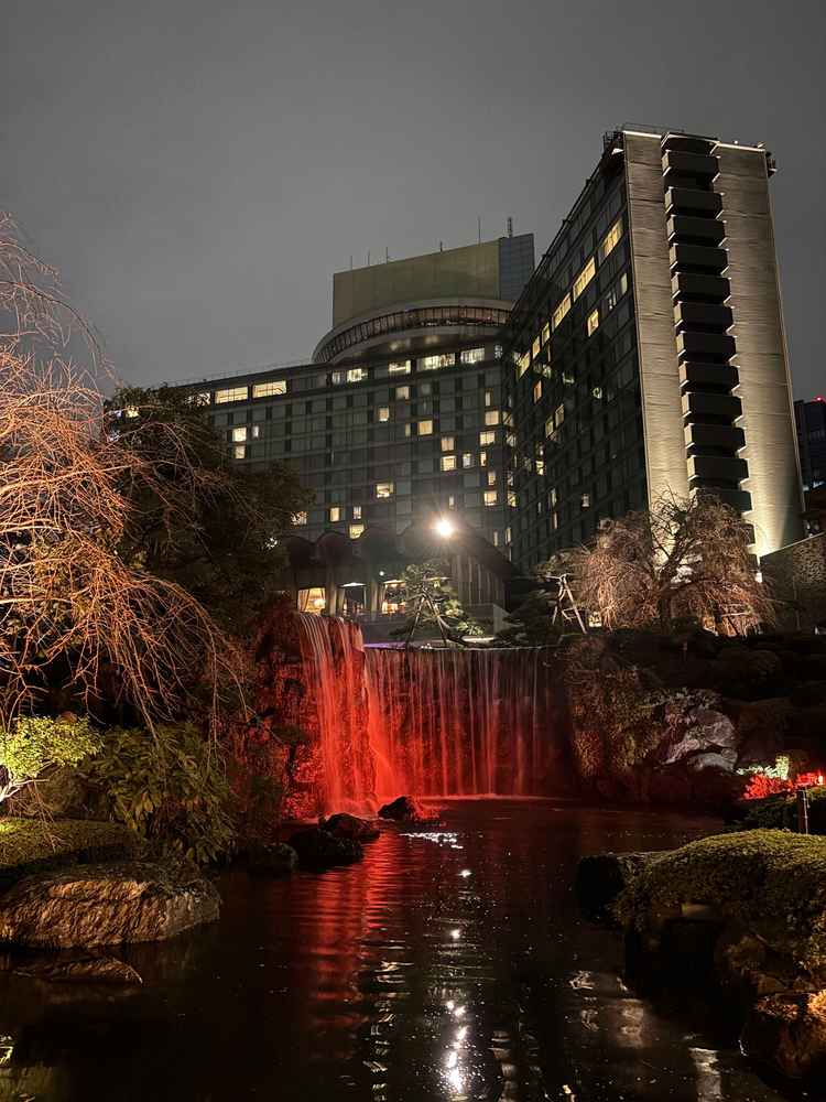 日本庭園から撮った写真です。滝もありとても綺麗。