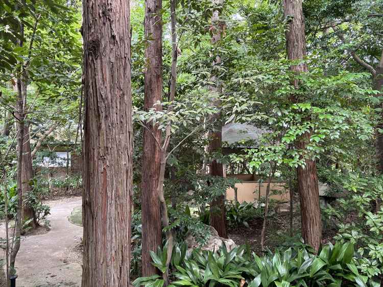 駐車場から車を降りたときの景色が非日常で感動