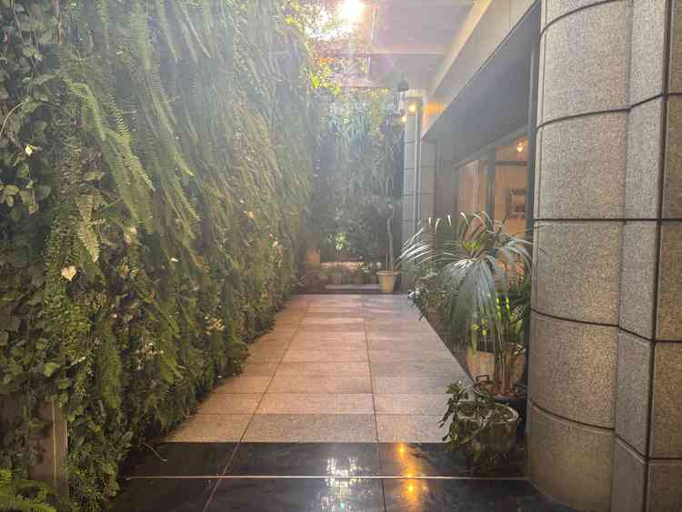 地下にあるガーデンスペース。開放感がある。