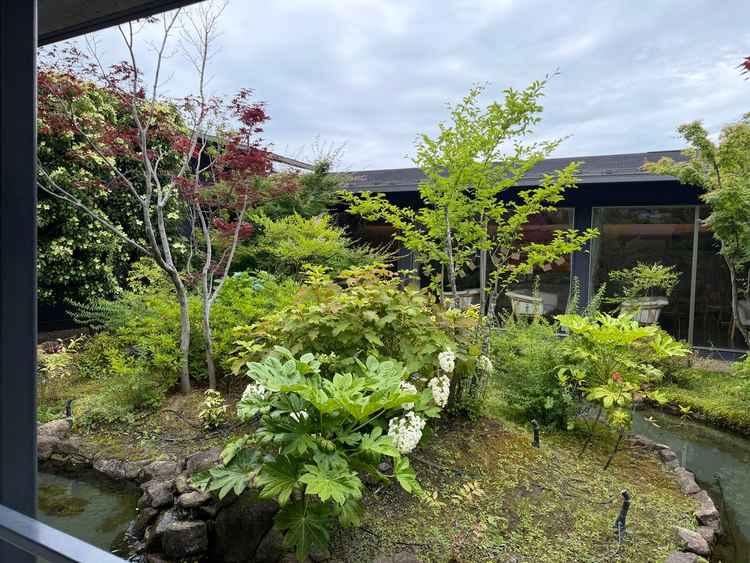 綺麗な庭園
