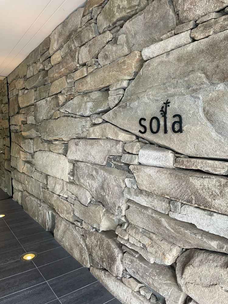 エントランス脇の石積み。外装内装と続いていて繋がりと広がりがありました。