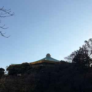 武道館が見えてびっくり！