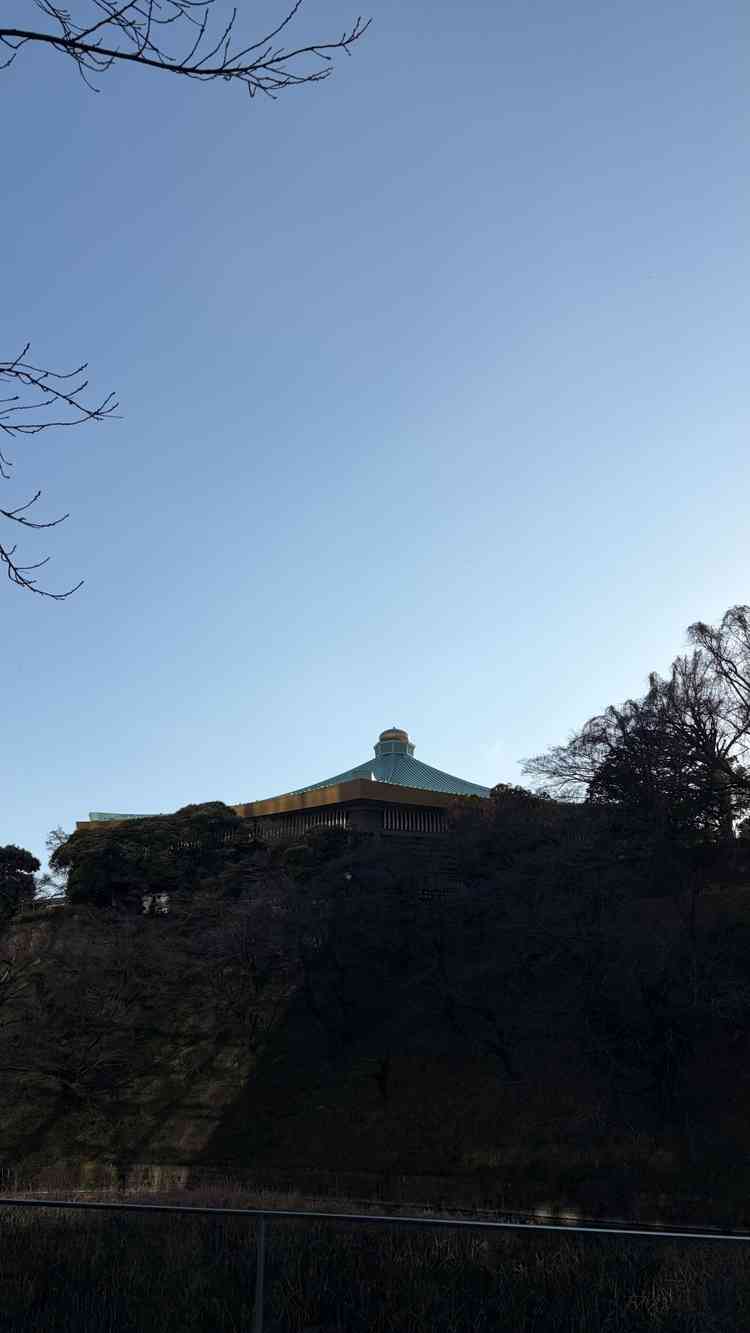 武道館が見えてびっくり！