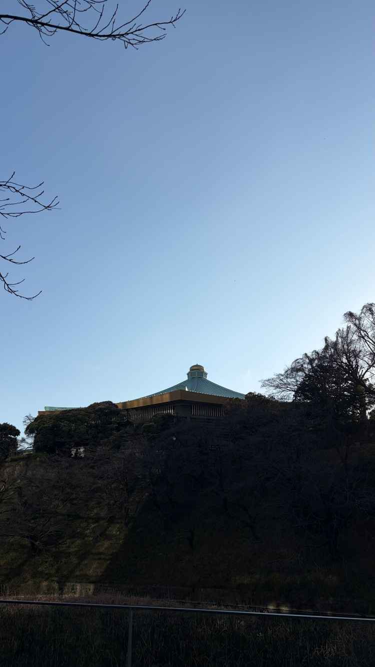 武道館が見えてびっくり！
