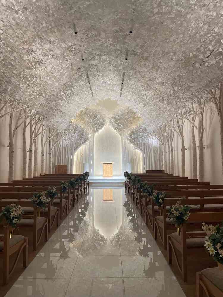 ユーザーが投稿した画像2
