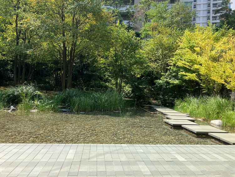 テラスは想像通り綺麗でした。