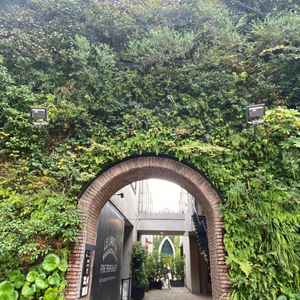 表参道の静かなロケーションに現れた緑豊かでおしゃれな外観。