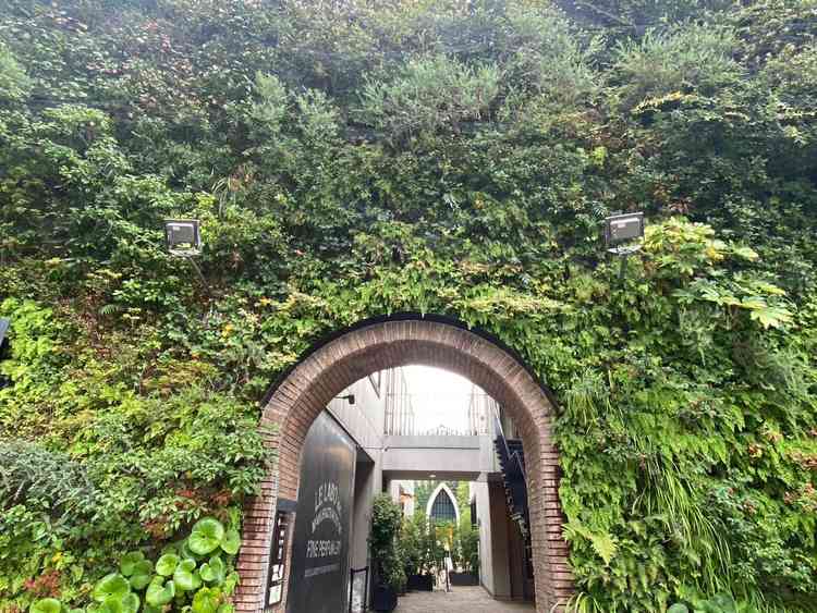 表参道の静かなロケーションに現れた緑豊かでおしゃれな外観。