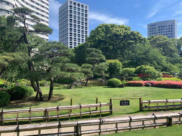 施設内の庭園