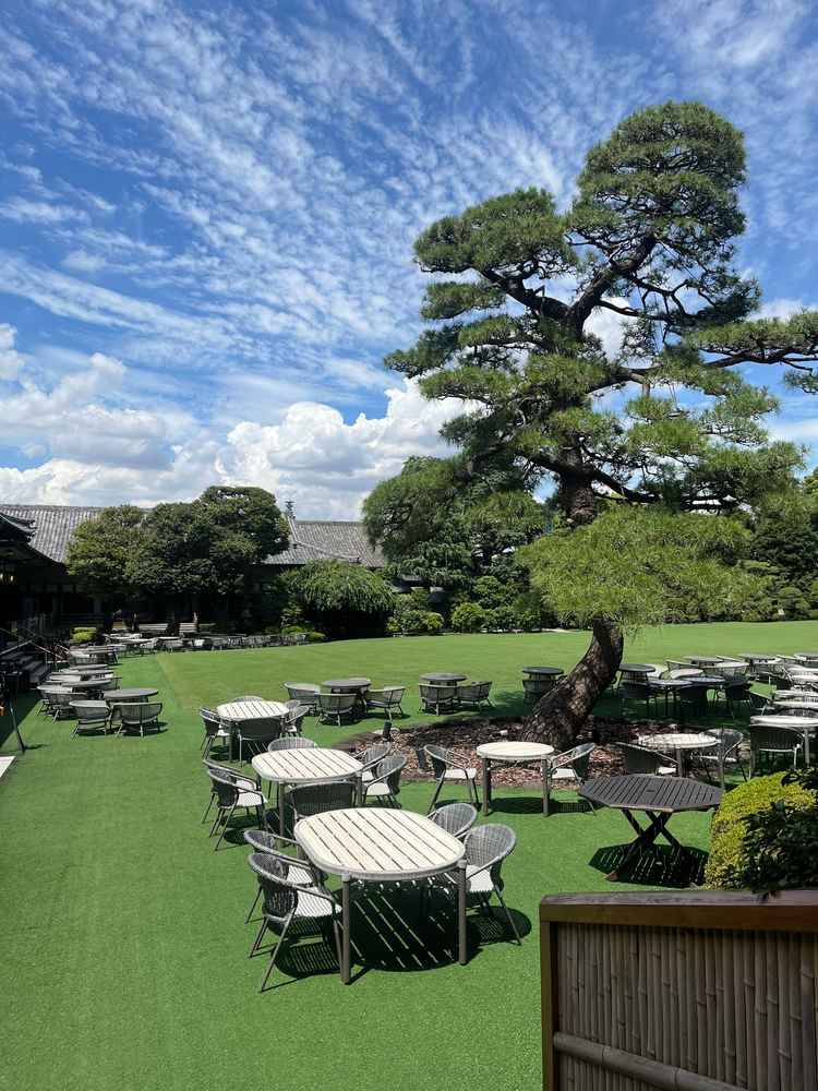 広いグリーンテラスで8月以降はビアガーデンを行うらしい