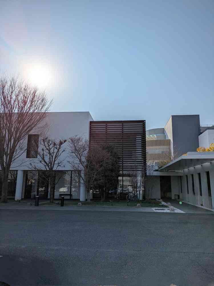 ユーザーが投稿した画像3