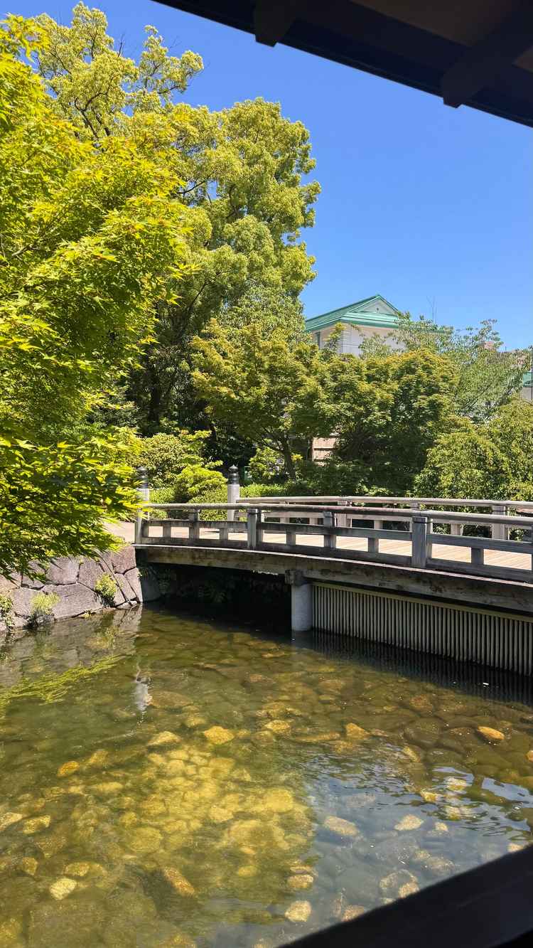 庭園がとても綺麗でした。