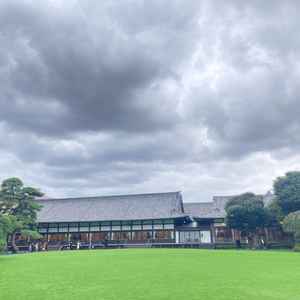 美しい庭園。本館改修工事が始まると見られないのは残念