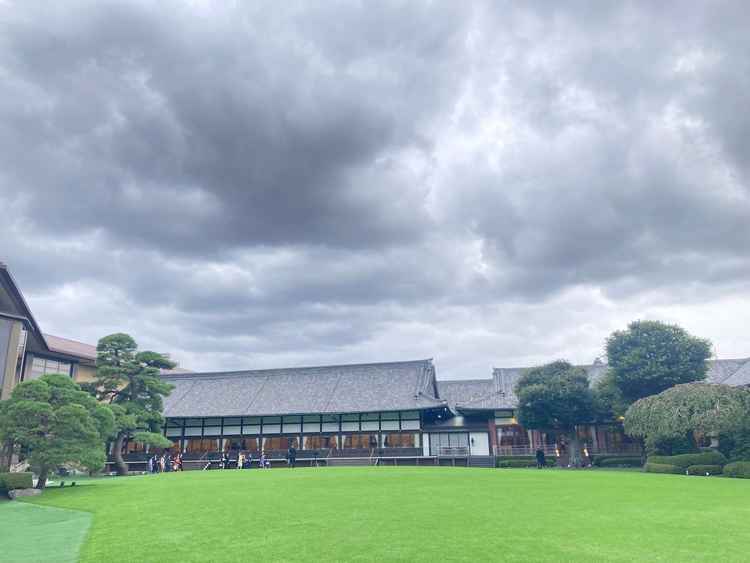 美しい庭園。本館改修工事が始まると見られないのは残念