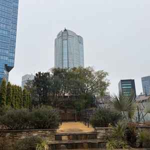 雨の日はこんな感じでした。