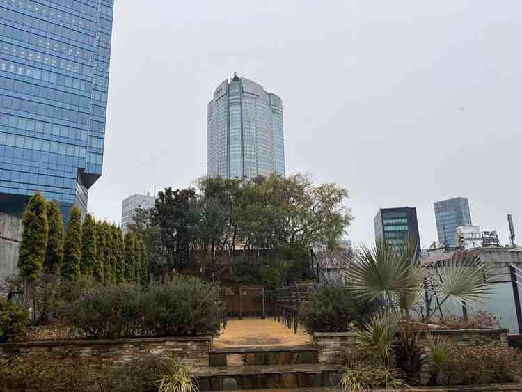 雨の日はこんな感じでした。