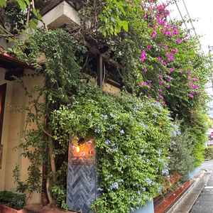 レストラン(披露宴)会場。普段使いには、ちょっとお高そうなレストランでした。