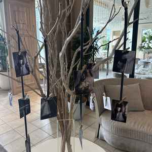 オシャレなウェルカムスペース