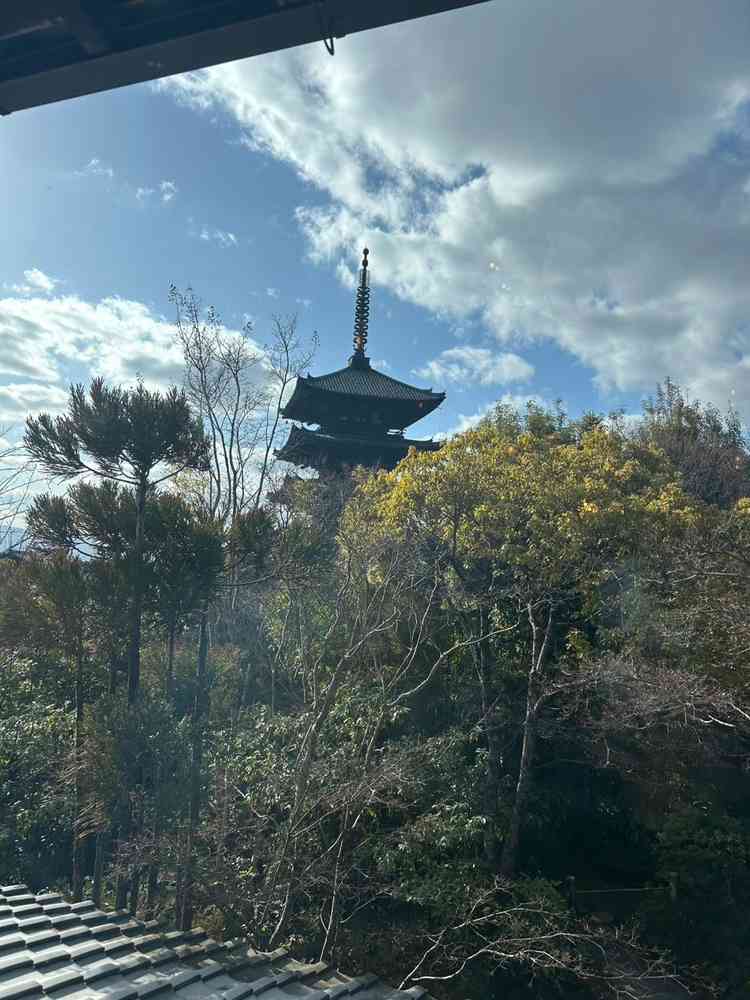 庭。五重塔が見えており、京都らしさがあってよかったです。