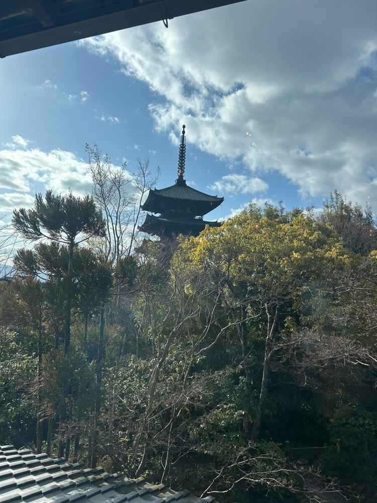 庭。五重塔が見えており、京都らしさがあってよかったです。