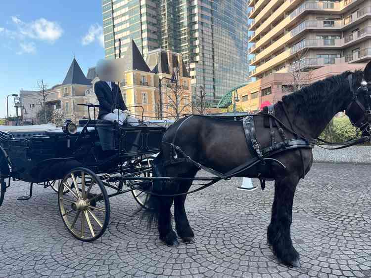 ホースセレモニーの馬は群馬から週末このために来ているとのこと。ブラックの馬車がかっこよかった。