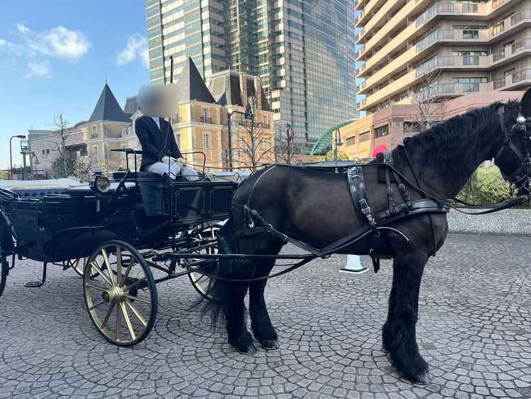 ホースセレモニーの馬は群馬から週末このために来ているとのこと。ブラックの馬車がかっこよかった。