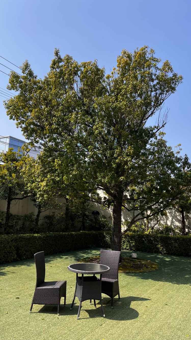 ガーデン。披露宴会場から見える景色。綺麗に整備されてました。