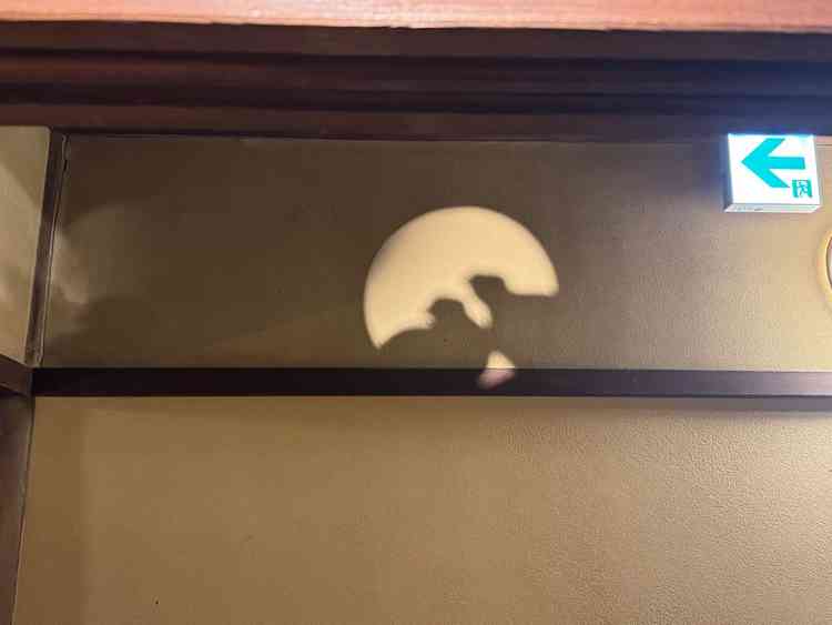 ユーザーが投稿した画像3