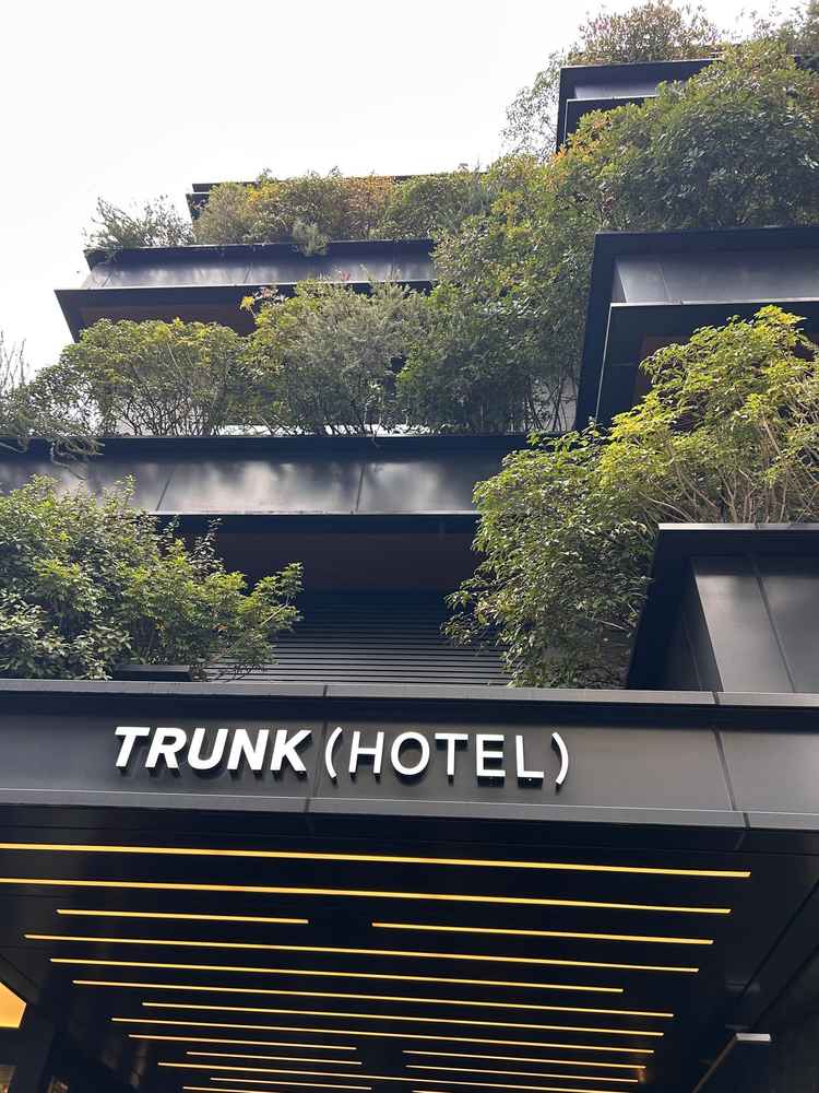 入り口も都会にありながら緑が多くて良いと思いました。