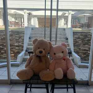 入り口から入った時の様子。ガラス越しにガーデンが見えて素敵な雰囲気でした。