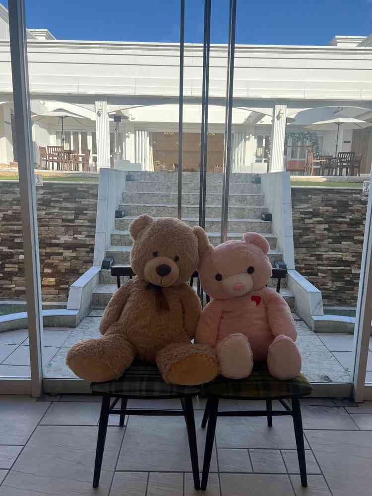 入り口から入った時の様子。ガラス越しにガーデンが見えて素敵な雰囲気でした。