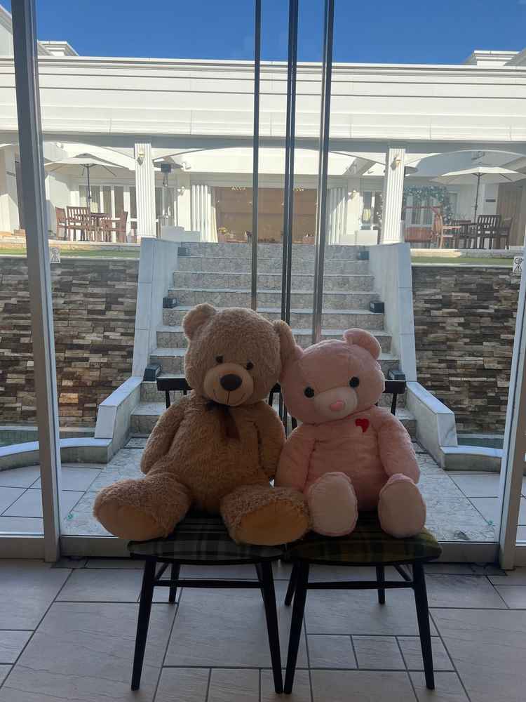 入り口から入った時の様子。ガラス越しにガーデンが見えて素敵な雰囲気でした。