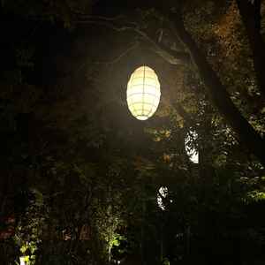 夜、庭園内