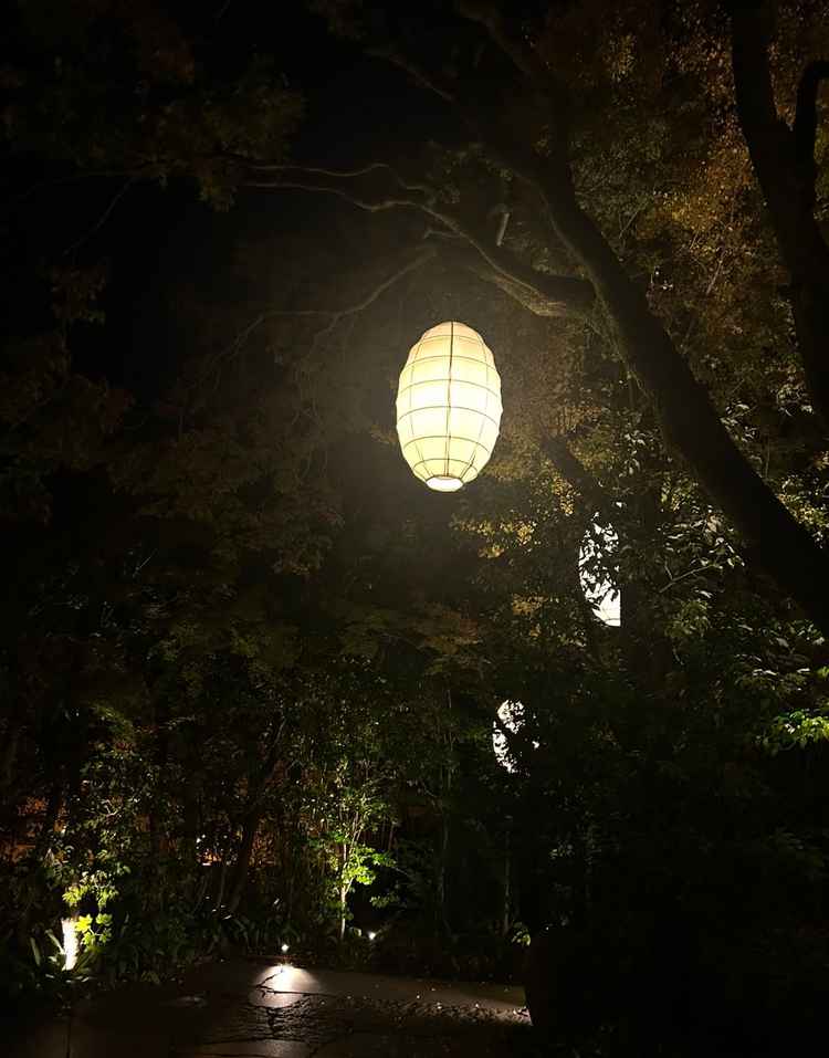 夜、庭園内