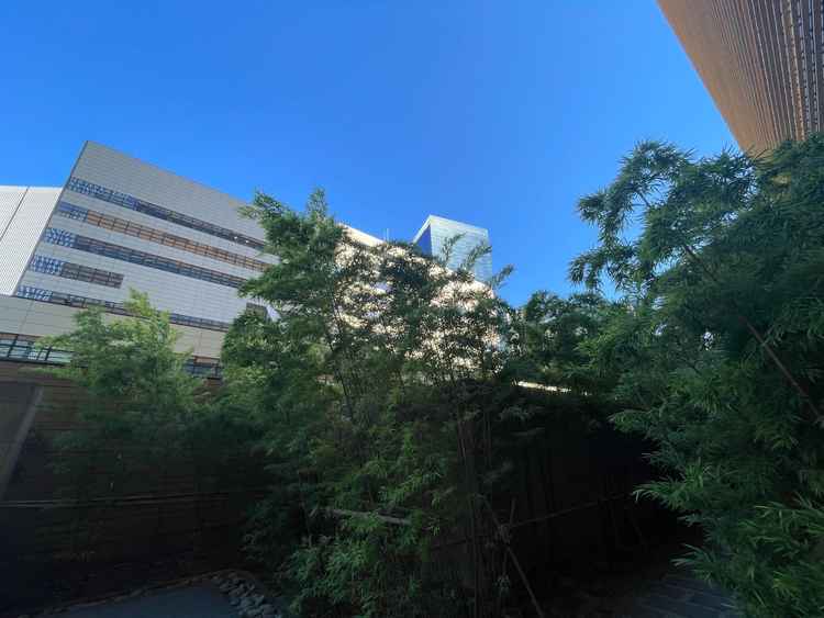 一枚目の地点から景観を撮影