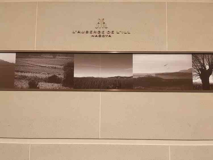 廊下のロゴです。廊下を曲がると入り口が見え、わかりやすかったです。