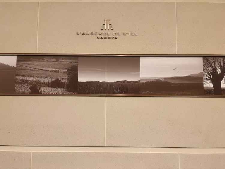 廊下のロゴです。廊下を曲がると入り口が見え、わかりやすかったです。