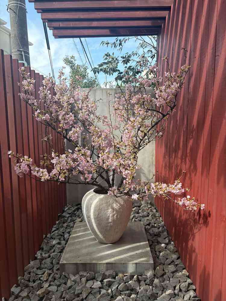 四季折々のお花が飾られるそうです