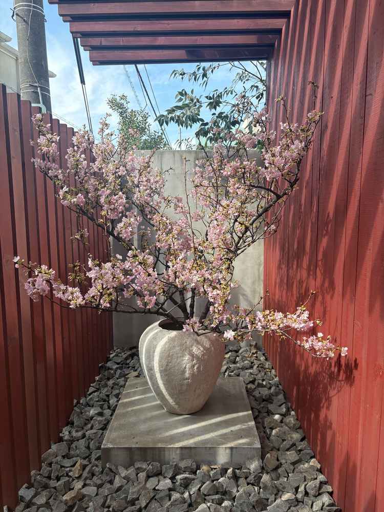 四季折々のお花が飾られるそうです