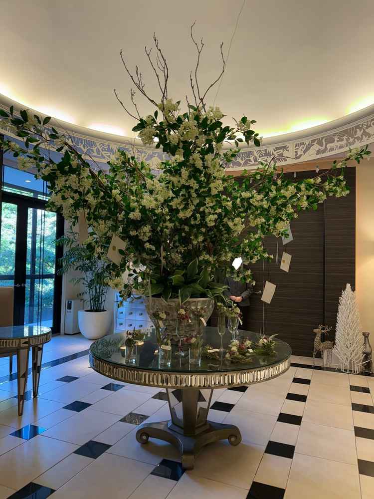 ゲストを出迎える大きな木。ゲストへのお手紙を吊るしたり自由に使って良いスペースとのこと。