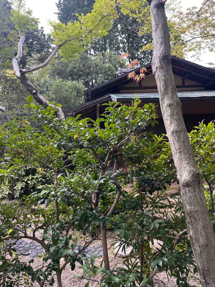 両家族の控室。日本邸宅と周りの木々の景観が心穏やかな気持ちになりました。