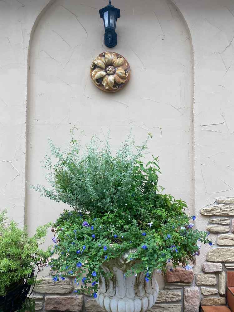 お花の手入れも行き届いており、四季折々のお花がキレイに咲くのだろうなと感じられました