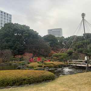 都心とは思えないほどの自然あふれる素敵な庭園で、和のウェディングフォトにもぴったりでした。