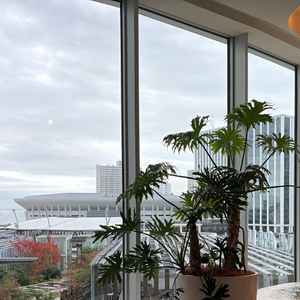 大きな窓がありとても明るく、窓からは横浜のビルやケーアリーナがよく見えます