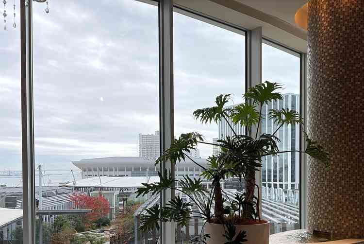 大きな窓がありとても明るく、窓からは横浜のビルやケーアリーナがよく見えます