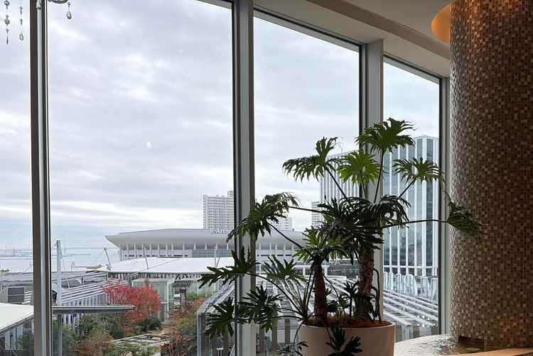 大きな窓がありとても明るく、窓からは横浜のビルやケーアリーナがよく見えます