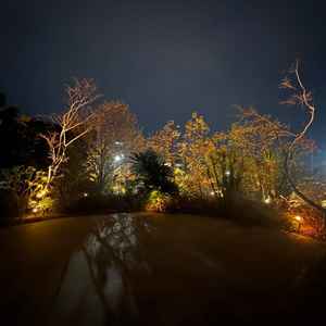 帰り際に外のフラワーシャワーを行うところを見せていただき、ナイトウエディングも気になっていたのでとて