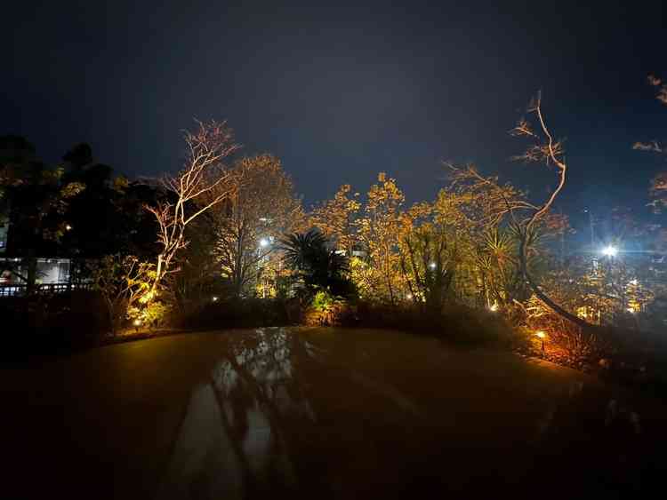 帰り際に外のフラワーシャワーを行うところを見せていただき、ナイトウエディングも気になっていたのでとて