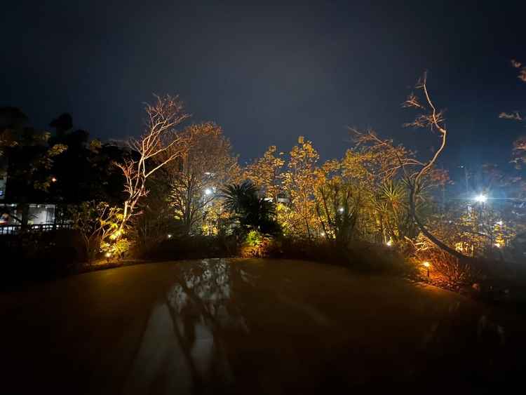 帰り際に外のフラワーシャワーを行うところを見せていただき、ナイトウエディングも気になっていたのでとて